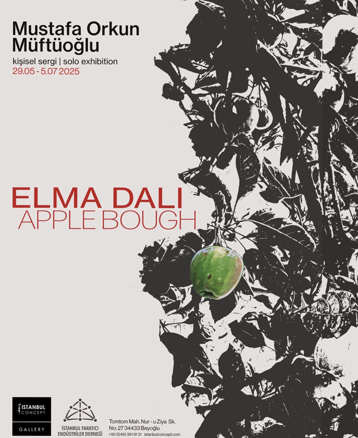 Elma Dalı Mustafa Orkun Müftüoğlu Sergisi