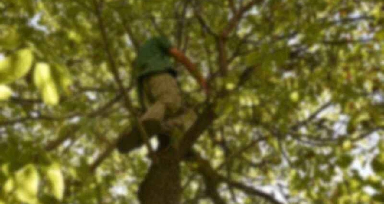 agactan dustu hastanede oldu Vbve1KxI