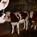 bir sehir sap alarmina gecti HjLIdLaT