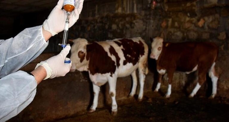 bir sehir sap alarmina gecti HjLIdLaT