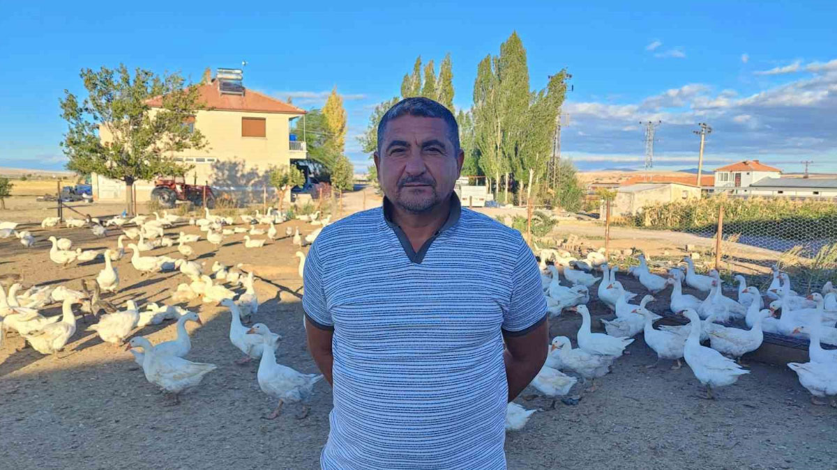 yozgatli girisimcinin dikkat ceken basarisi 5 kazla basladi 850ye yukseldi tdc4xilh