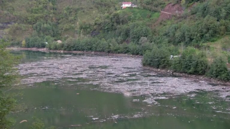 artvinde sel baraji tehdit ediyor xVthX4iY.jpg