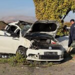 elazigda-trafik-kazasi-anne-ve-bebek-yasamini-yitirdi-7n9LnYjt.jpg