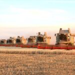 kazakistanda tahil hasadi rekor kirdi 271 milyon ton ggY1bJVv.jpg