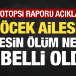 son-dakika-bocek-ailesinin-otopsi-raporu-aciklandi-neden-zehirlendikleri-belli-oldu-H7w8FxkG.gif