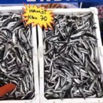 taze balik tuketin uyarisi WupgqpnK.jpg