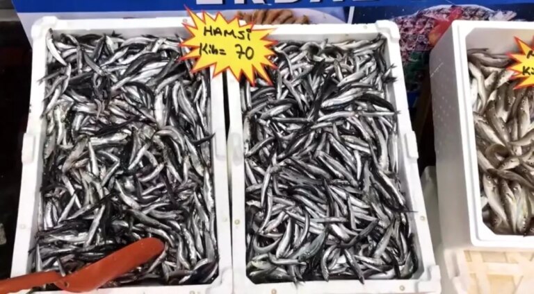 taze balik tuketin uyarisi WupgqpnK.jpg