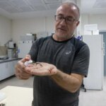 turk akademisyenler murekkep baligindan cilt onarici ve koruyucu gunes kremi uretti qcfD74HA.jpg