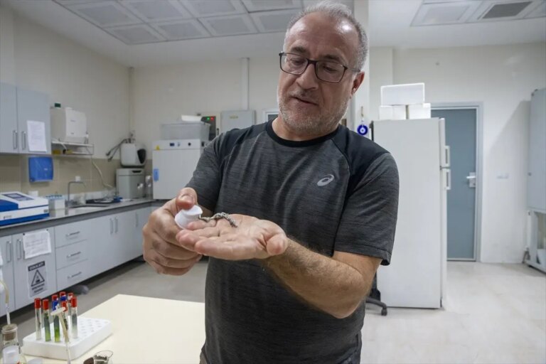 turk akademisyenler murekkep baligindan cilt onarici ve koruyucu gunes kremi uretti qcfD74HA.jpg