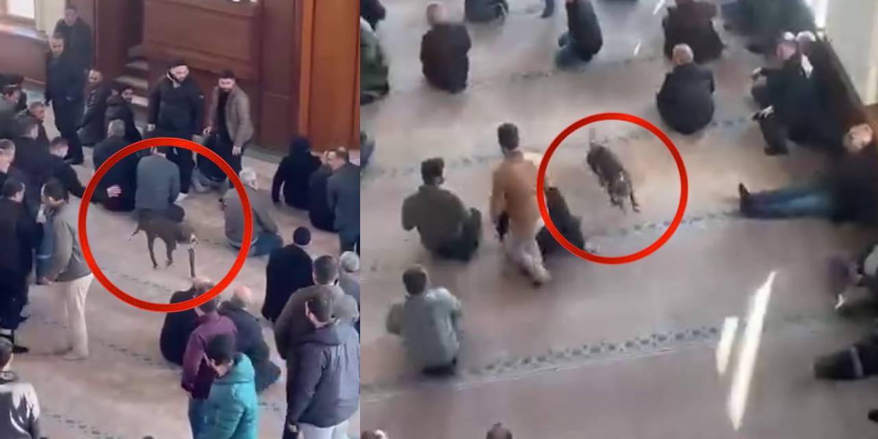 cuma-vaazi-sirasinda-camiye-pitbull-girdi-o-anlar-kamerada-McRttblu.jpg