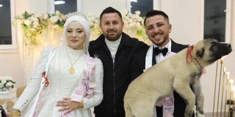 taki-merasiminde-gelin-ve-damada-sok-taki-yerine-kangal-yavrusu-geldi-skfSzVhP.jpg