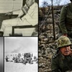 Kibris harek ti milletimizin ve ordumuzun moralini artirmistir bCGaC7if